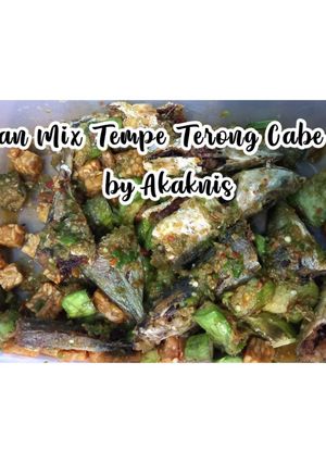 Foto resep Ikan Mix Tempe Terong Cabe Ijo