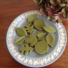 A picture of Vegan Matcha Chocolate.
