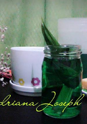 Foto resep Sirup Pandan homemade