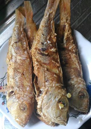 Foto resep Ikan goreng