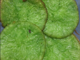 Cucur pandan terigu simpel