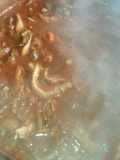 Setas con nopales