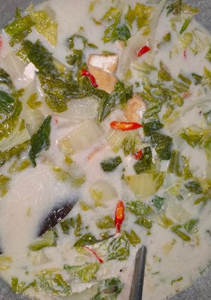Foto resep Lodeh sawi putih