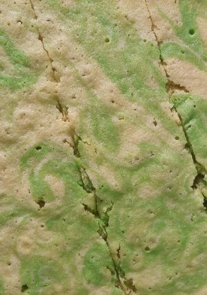Foto resep Cake marmer nutrijel