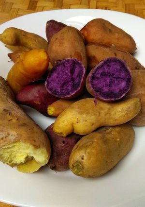 Foto resep Ubi rebus