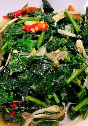 Foto resep Tumis Katuk