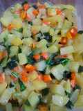 Ragout Sayur