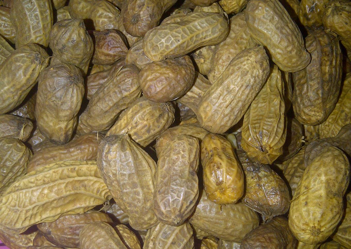 Kacang Rebus Presto