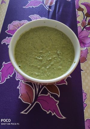 A picture of Leftover Dhokla chutney.
