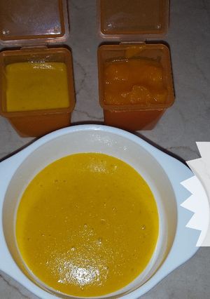 Foto resep Mpasi 6 bulan (Bubur oat+kabocha) dan (Puree kabocha)
