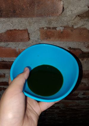 Foto resep Obat tradisional penurun panas dari daun karok