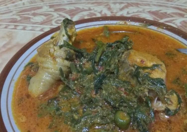 Resep Gulai Ayam Paku Pedas Anti Gagal