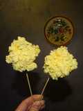 Cake pops mimosa