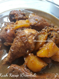 Foto resep Ayam Kuah Kecap (Oriental)