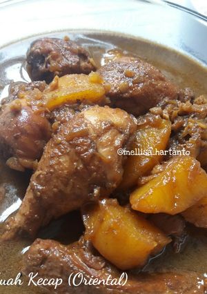 Foto resep Ayam Kuah Kecap (Oriental)