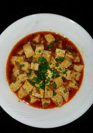 A picture of Mapo Tofu.