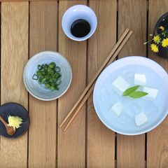 A picture of Hiya-Yakko (chilled soft tofu) 🌱.