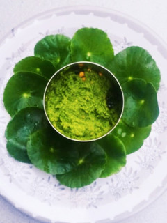 வல்லாரை கீரை சட்னி (Vallarai keerai chutney recipe in tamil) செய்முறை முக்கிய புகைப்படம்