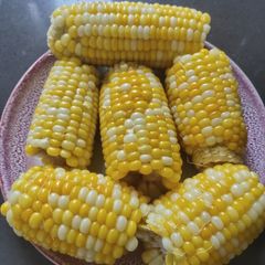 A picture of Boiled Corn.