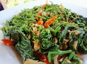 Foto resep Tumis Pucuk Labu
