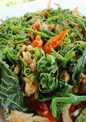 Foto resep Tumis Pucuk Labu