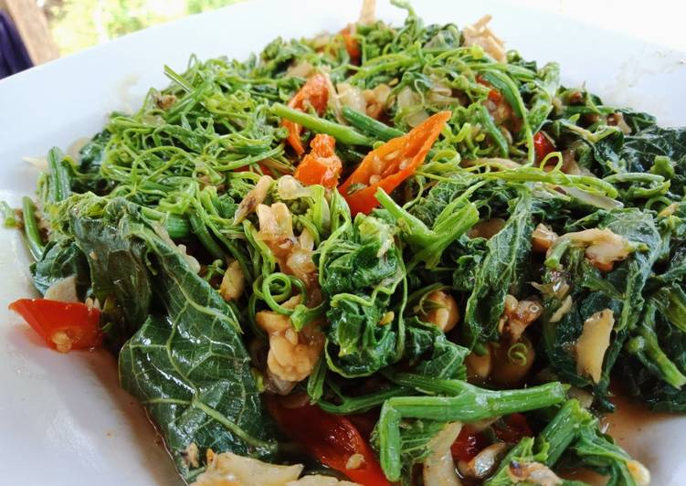 Cara Gampang meracik Tumis Pucuk Labu yang Enak Banget