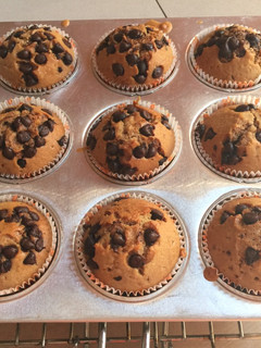 Foto resep Muffin Milo tanpa Mixer