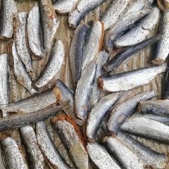 Baked sardine A picture of Baked sardine.