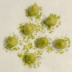 Matcha Modak A picture of Matcha Modak.