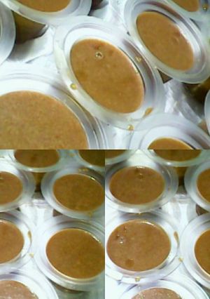 Foto resep Puding Santan Gula Merah