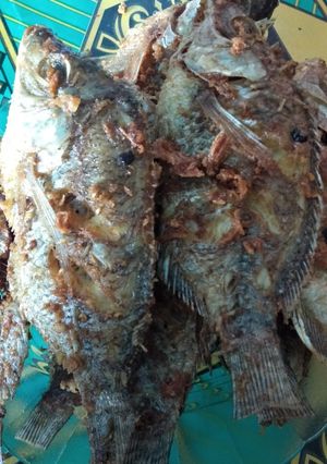 Foto resep Mujair goreng gurih