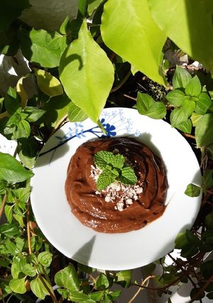 Foto de Mousse de chocolate veg