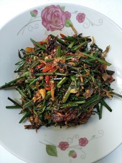 Foto resep Tumis Pakis