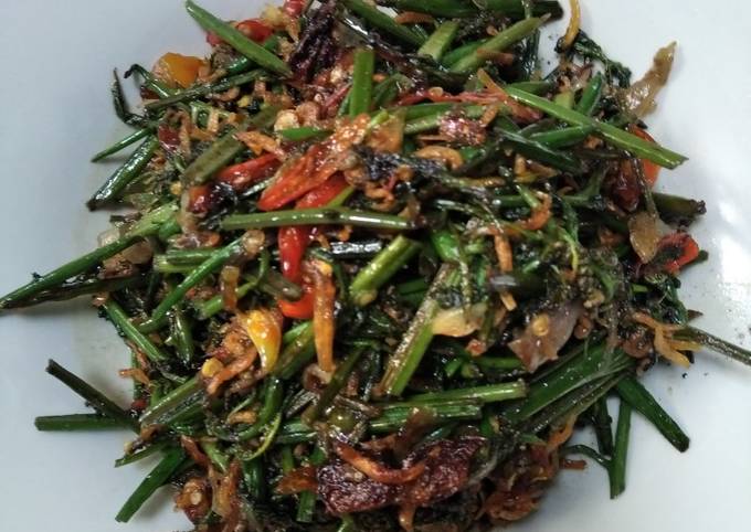 Resep Tumis Pakis Oleh Dian Pertiwi Cookpad