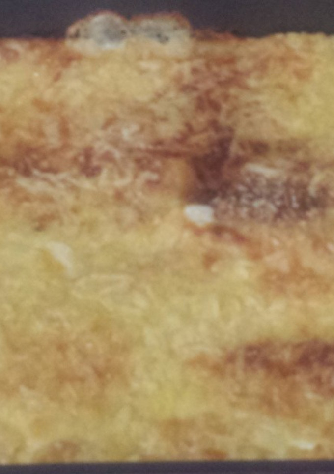 Una foto de Lasaña de patata