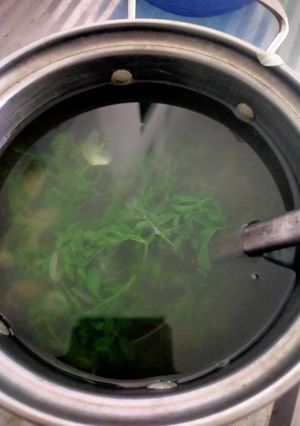 Foto resep Sayur bening daun kelor....