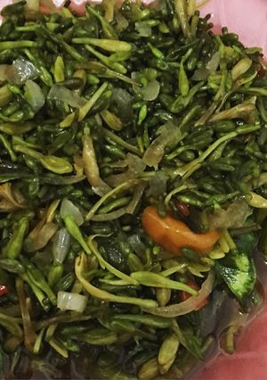 Foto resep Tumis Pedas Bunga Pepaya