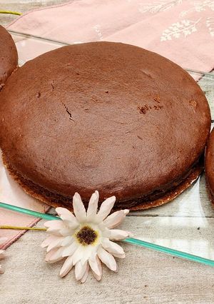 Una foto de 🍫Bizcochuelo chocolatoso esponjoso y húmedo - Chocolate de taza + cacao amargo - Fácil y rendidor 🍫
