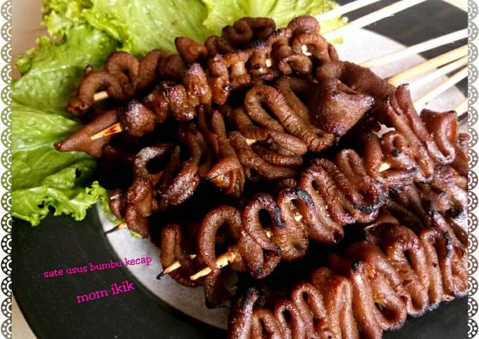 Cara Gampang Menyiapkan Sate usus bumbu kecap yang Lezat