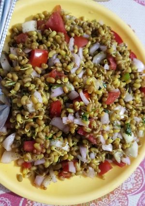 A picture of Sprouts.