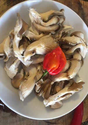 A picture of Oyester Mushrooms.