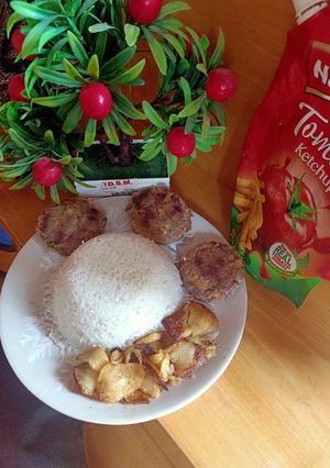 A picture of Shami kabab with plain rice.