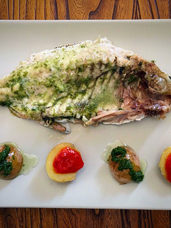 Una foto de Salema a la espalda con mojo verde