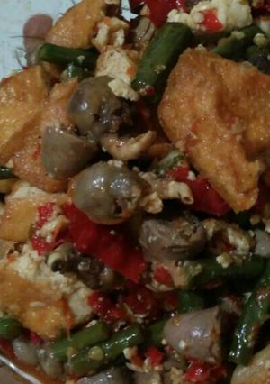 Foto resep Jantung ayam ala2 mahmud