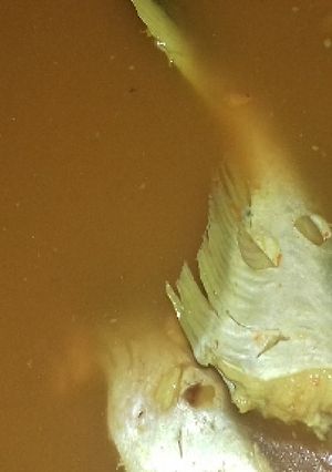 Foto resep Pindang patin praktis