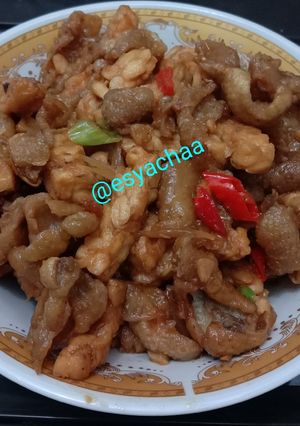 Foto resep 4. Oseng tempe kulit kriuk