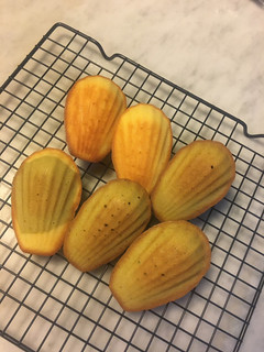 Foto resep Madeleine (kue kerang asal Perancis) - Lembut & Wangi ✨