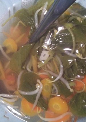 Foto resep Sayur Bayam Wortel Tauge