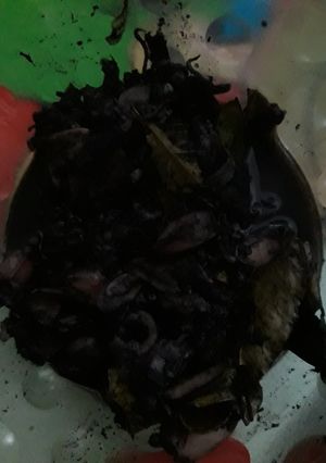 Foto resep Cumi hitam