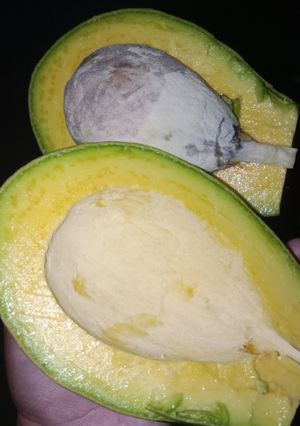 Foto resep Es buah